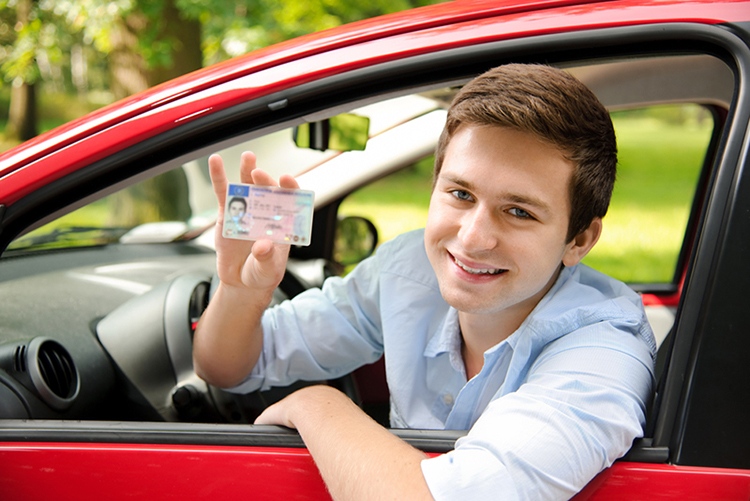 Permis B traditionnel Charmes